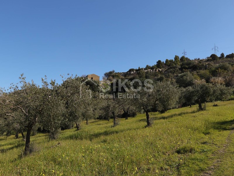 Terreno agricolo in Vendita a Noto, 190'000€, 100000 m²
