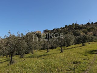 Terreno agricolo in Vendita a Noto, 190'000€, 100000 m²