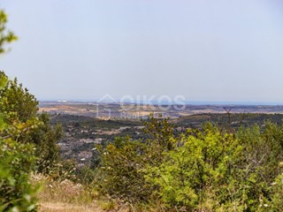 Terreno agricolo in Vendita a Noto, 110'000€, 24000 m²