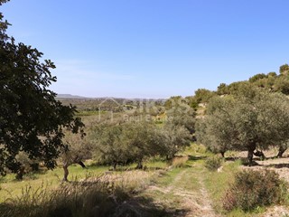 Terreno agricolo in Vendita a Noto, 240'000€, 50 m²