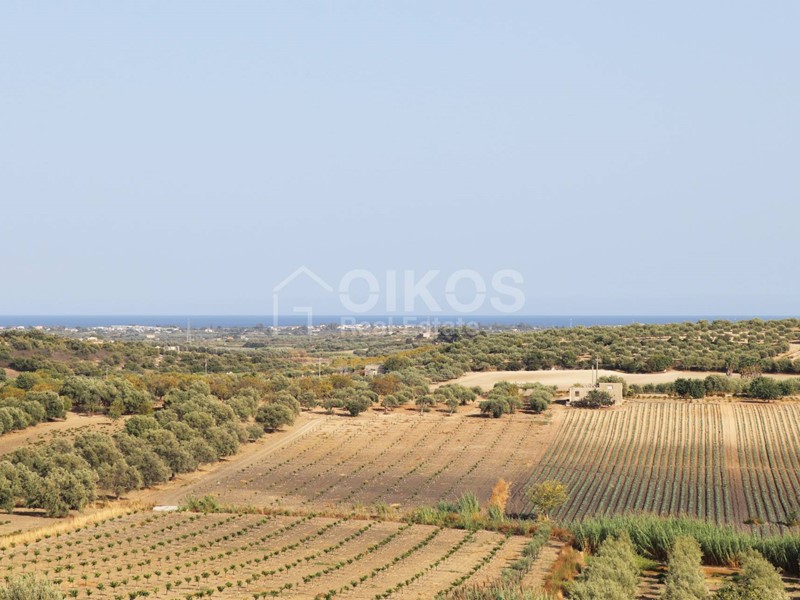Terreno agricolo in Vendita a Noto, 700'000€, 55000 m²