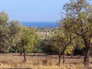 Terreno agricolo in Vendita a Avola, 2'100'000€, 400 m²