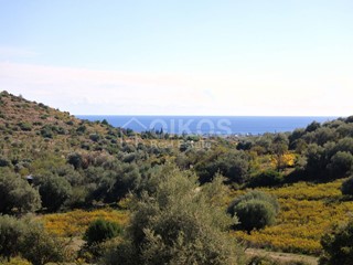 Terreno agricolo in Vendita a Avola, 150'000€, 16000 m²