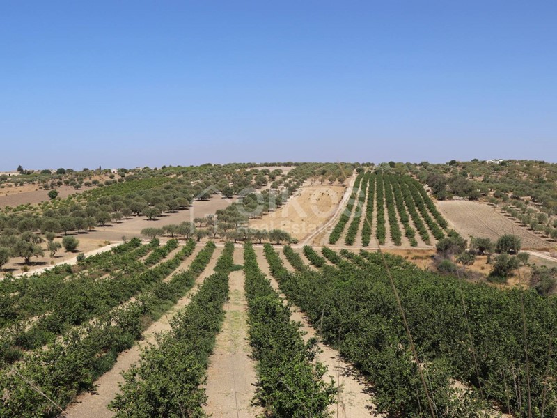 Terreno agricolo in Vendita a Noto, 320'000€, 64000 m²