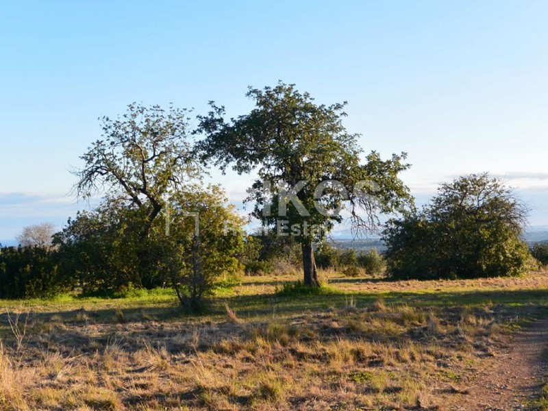 Terreno agricolo in Vendita a Noto, 130'000€, 16000 m²