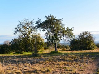 Terreno agricolo in Vendita a Noto, 130'000€, 16000 m²