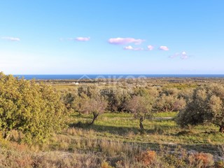 Terreno agricolo in Vendita a Avola, 290'000€, 31700 m²