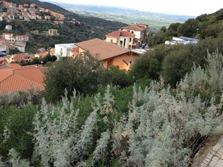 Terreno edificabile in Vendita a Ozieri, 24'500€, 378 m²