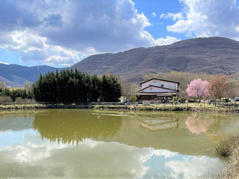 Attività commerciale in Vendita a Scoppito, 430'000&euro;, 350 m²