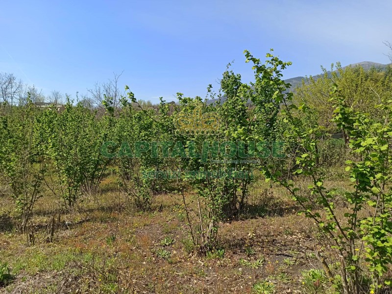 Terreno agricolo in Vendita a San Giuseppe Vesuviano, 13'500€, 1961 m²