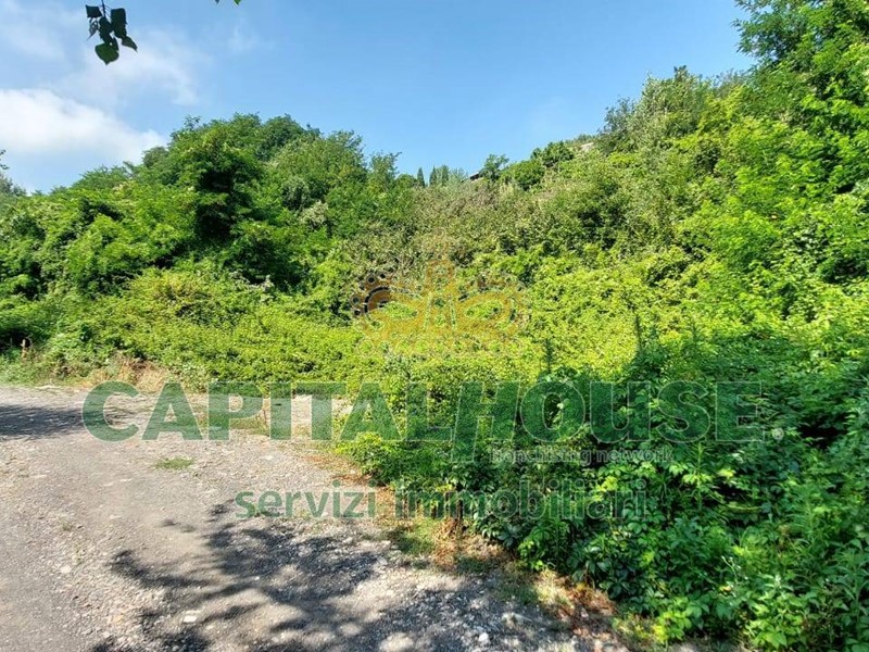 Terreno agricolo in Vendita a Ottaviano, 28'000€, 3913 m²