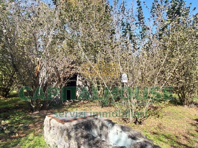 Terreno agricolo in Vendita a Poggiomarino, 19'000€, 1257 m²