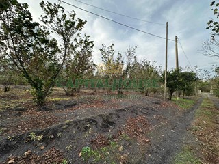 Terreno agricolo in Vendita a Ottaviano, 19'000€, 2350 m²