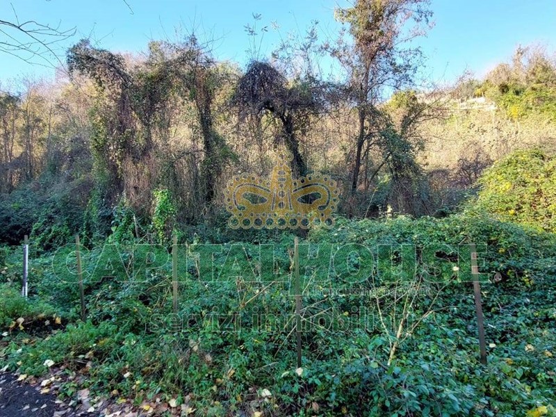 Terreno agricolo in Vendita a Ottaviano, 14'500€, 7701 m²
