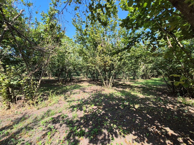 Terreno agricolo in Vendita a Terzigno, 12'500€, 1836 m²