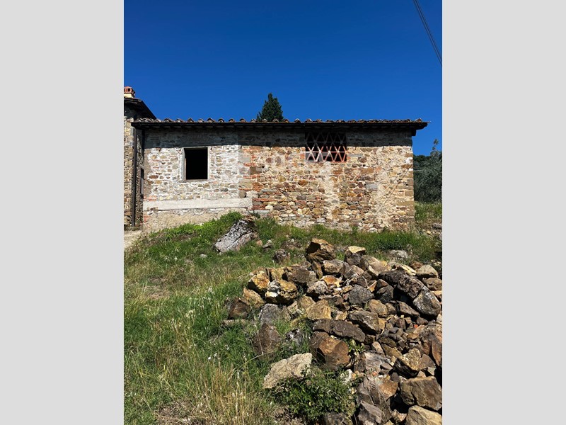 Terreno agricolo in Vendita a Cavriglia, 60'000€, 10000 m²