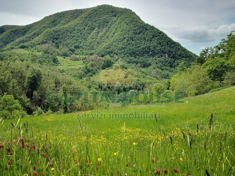 Terreno agricolo in Vendita a Monzuno, 44'000€, 90000 m²