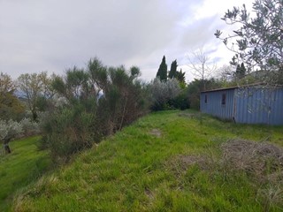Terreno agricolo in Vendita a Assisi, 19'000€, 6700 m²