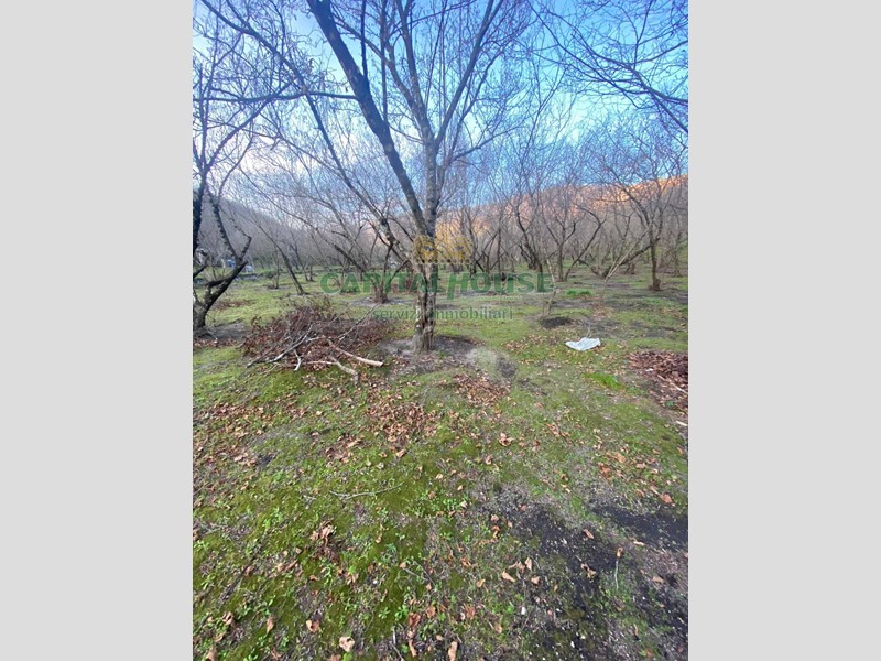 Terreno agricolo in Vendita a Avella, 25'000&euro;, 6100 m²