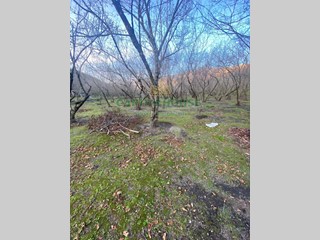 Terreno agricolo in Vendita a Avella, 25'000&euro;, 6100 m²