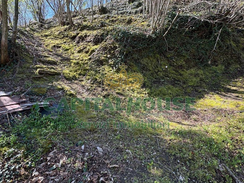 Terreno agricolo in Vendita a Mugnano del Cardinale, 35'000€, 11000 m²