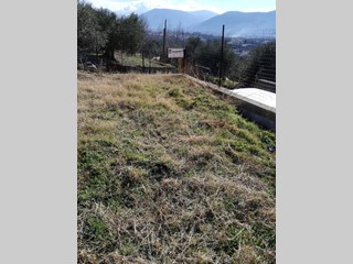 Terreno agricolo in Vendita a Avella, 33'000&euro;, 1350 m²