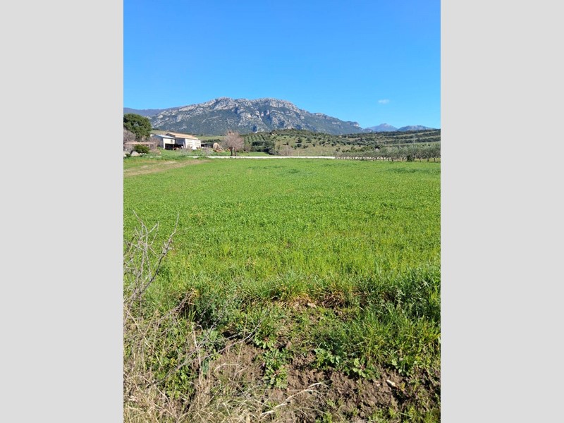 Terreno agricolo in Vendita a Capaccio Paestum, 28000 m²