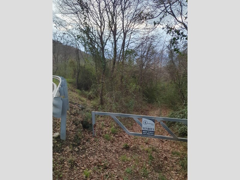 Terreno agricolo in Vendita a Bellosguardo, 53'000&euro;, 20000 m²