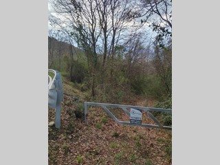 Terreno agricolo in Vendita a Bellosguardo, 53'000&euro;, 20000 m²