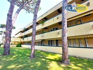 Bilocale in Affitto a Montignoso, 750€, 55 m²