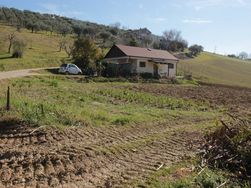 Terreno agricolo in Vendita a Tortoreto, 85'000€, 8000 m²