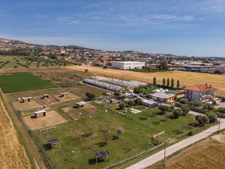 Attività commerciale in Vendita a Roseto degli Abruzzi, 31000 m²