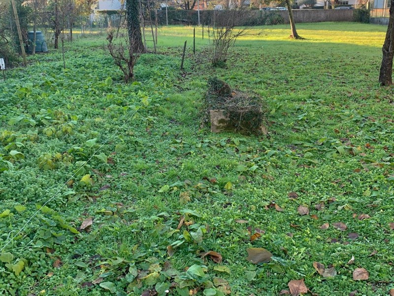 Terreno edificabile in Vendita a Udine, 145'000€, 1150 m²