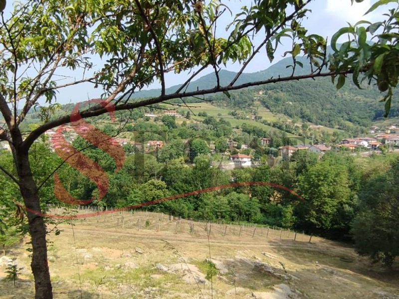 Box in Vendita a Cenate Sopra, 249'000€, 22000 m²