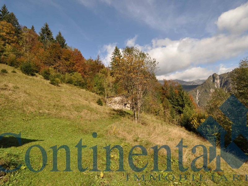 Rustico in Vendita a Valtorta, 27'900€, 52 m²