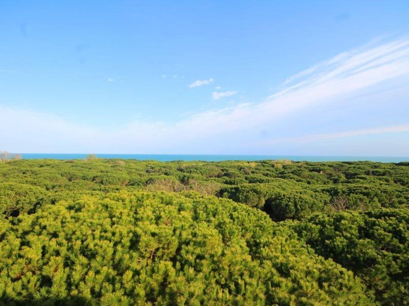 Trilocale in Affitto a Eraclea, 250€, 55 m²