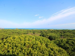 Trilocale in Affitto a Eraclea, 250€, 55 m²