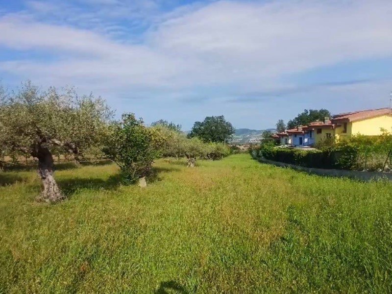 Terreno edificabile in Vendita a Rosciano, 105'000€, 2745 m²