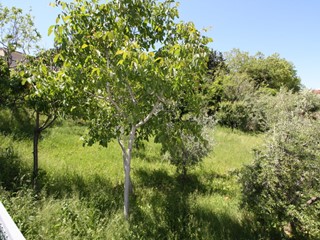 Terreno edificabile in Vendita a Monteprandone, 130'000€, 1200 m²