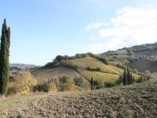 Terreno agricolo in Vendita a Ripatransone, 195'000€, 87000 m²