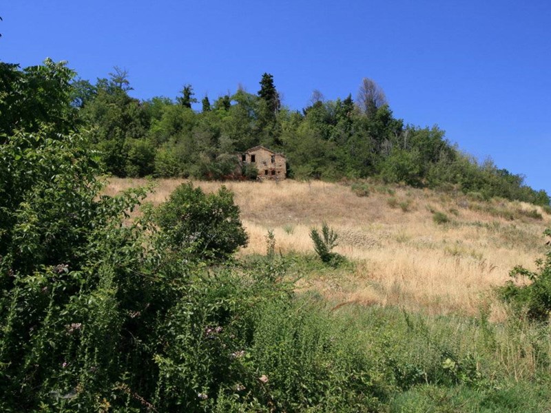 Rustico in Vendita a Ripatransone, 195'000€, 380 m²