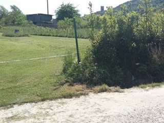 Terreno agricolo in Affitto a Pisa, 1'455€, 5820 m²