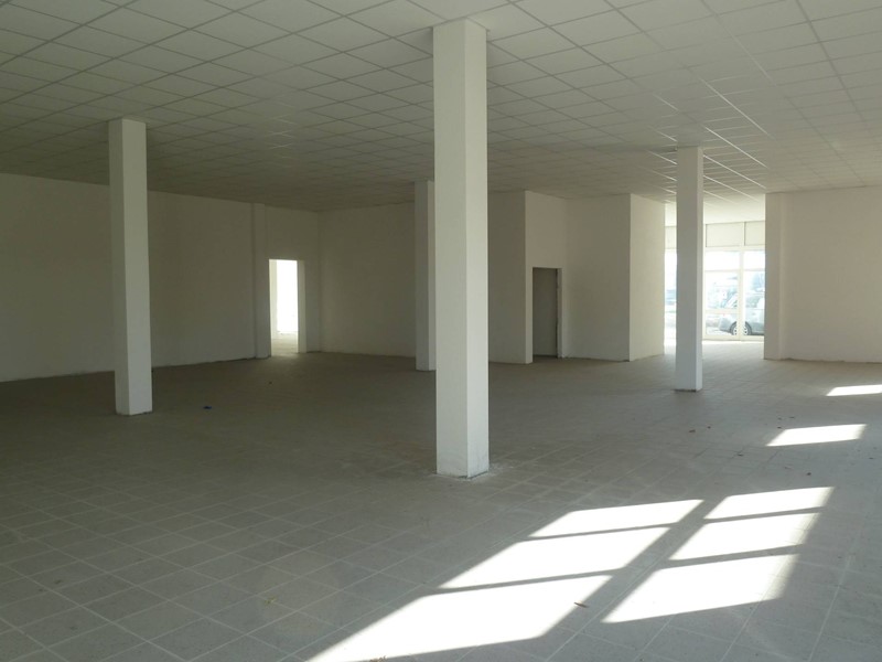 Attività commerciale in Affitto a Pisa, 1'200€, 175 m²