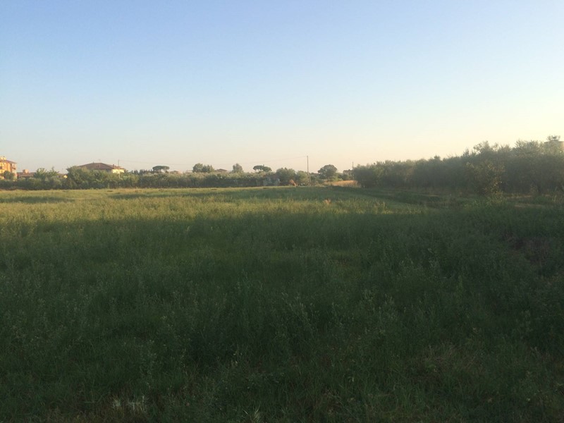 Terreno agricolo in Vendita a Cascina, 436'000€, 4600 m²