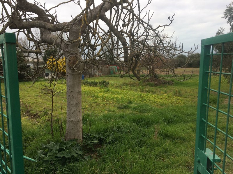 Terreno agricolo in Vendita a Pisa, 15'000€, 730 m²