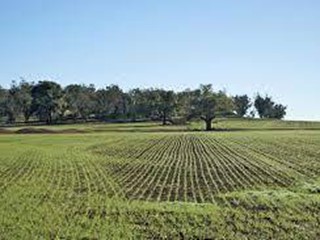 Terreno agricolo in Vendita a San Giuliano Terme, 12'000€, 1100 m²