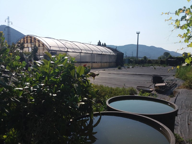 Terreno agricolo in Vendita a Vecchiano, 90'000€, 9800 m²