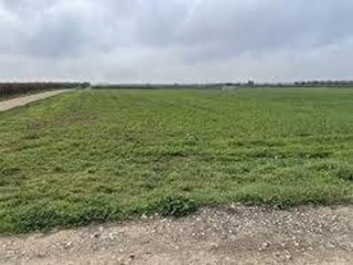 Terreno agricolo in Vendita a San Giuliano Terme, 10'000€, 2500 m²