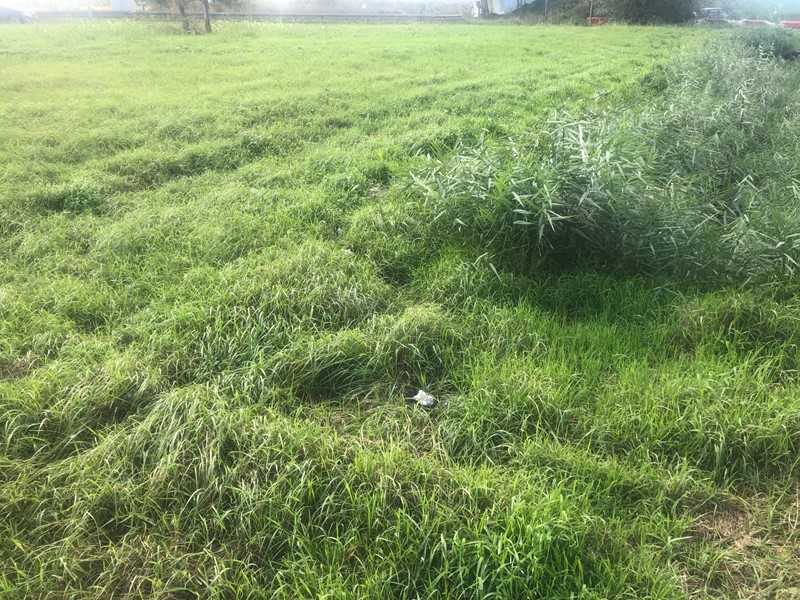 Terreno edificabile in Vendita a Pisa, 10'000€, 1500 m²