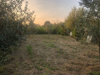 Terreno agricolo in Vendita a Pisa, 31'000€, 700 m²